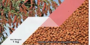 Tara Research Redgram Paddy Seeds