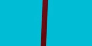 TRS 002 Carp Fishing Telescopic Rod Support