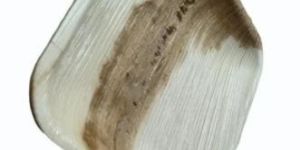 Square Areca Leaf Plate