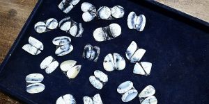 Pair Dendritic Opal Gemstone