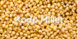 Organic Kodo Millet