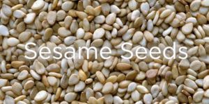 Organic Sesame Seeds
