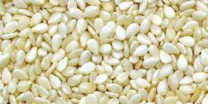 White Sesame Seeds