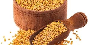 Yellow Mustard Seeds