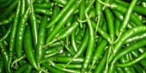 Fresh Green Chilli