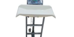 Mother And Child Weighing Scale