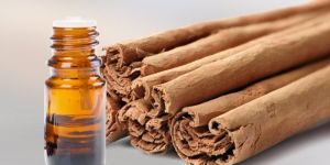 Cinnamon Essential Oil