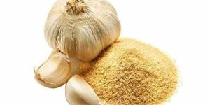 Garlic Powder