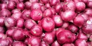 Natural Red Onion