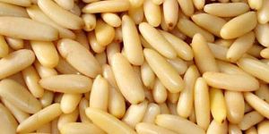 Pine Nuts