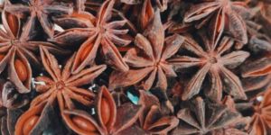 Star Anise