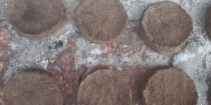 Dried Cow Dung Cake