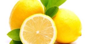 Yellow Lemon