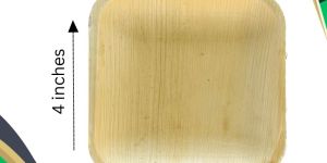 Biodegradable Areca Plate 4 Inch Square