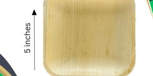 Biodegradable Areca Plate 5 Inch Square