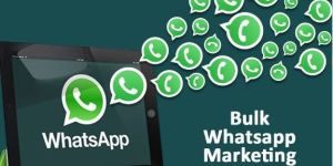 WhatsApp Marketing Service