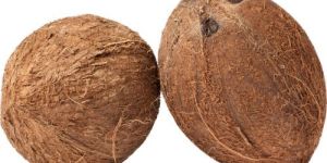 Fully Husked Coconut