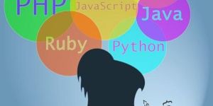 Website Development Services