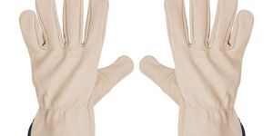 Water Repellent Gloves