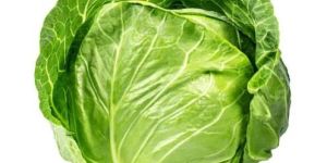 a Grade Cabbage