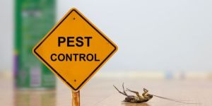 Pest Control Services