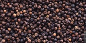 Premium Black Pepper