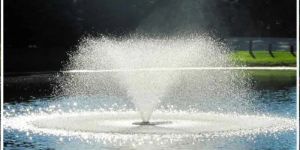 Small Floating Fountain