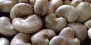 Raw Cashew