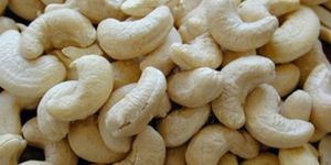 Cashew
