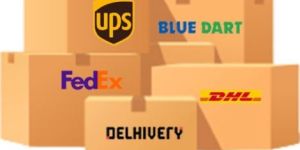 Domestic Courier Service