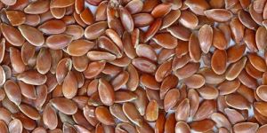 Flax Seeds