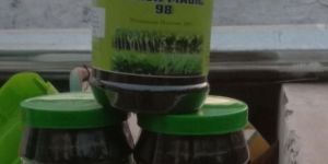 Black Magic Humic Acid 98% WSG Granules