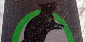 Rodeer Rat Glue Trap