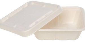 Bagasse Rectangular Bowl