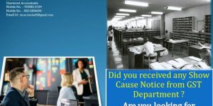 Gst Scn Notice Reply Services