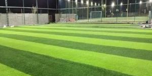 Artificial Grass