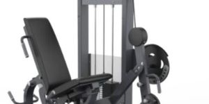 Leg Curl Leg Extension Machine