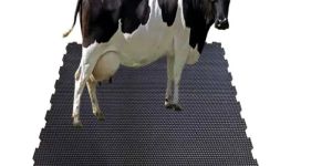Rubber Cow Mat