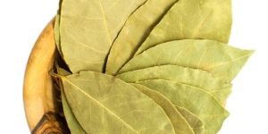 Bay Leaf