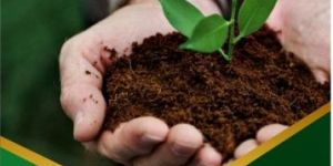 Vermicompost Fertilizer