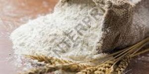 Organic Wheat Flour