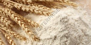 Refined Wheat Flour