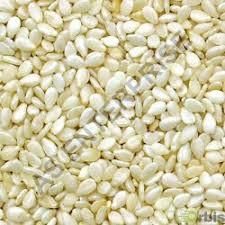White Sesame Seeds
