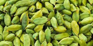 Green Cardamom