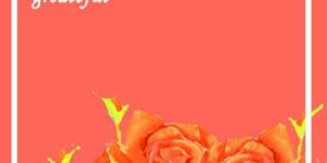 A4 Size School Notebook