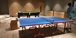 Table Tennis Tables
