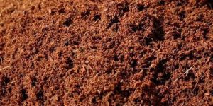 Agriculture Vermicompost