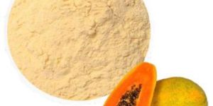 Spray Dried Papaya Powder