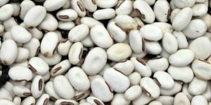 White Kidney Beans