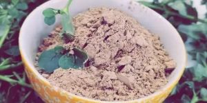Punarnava Root Powder